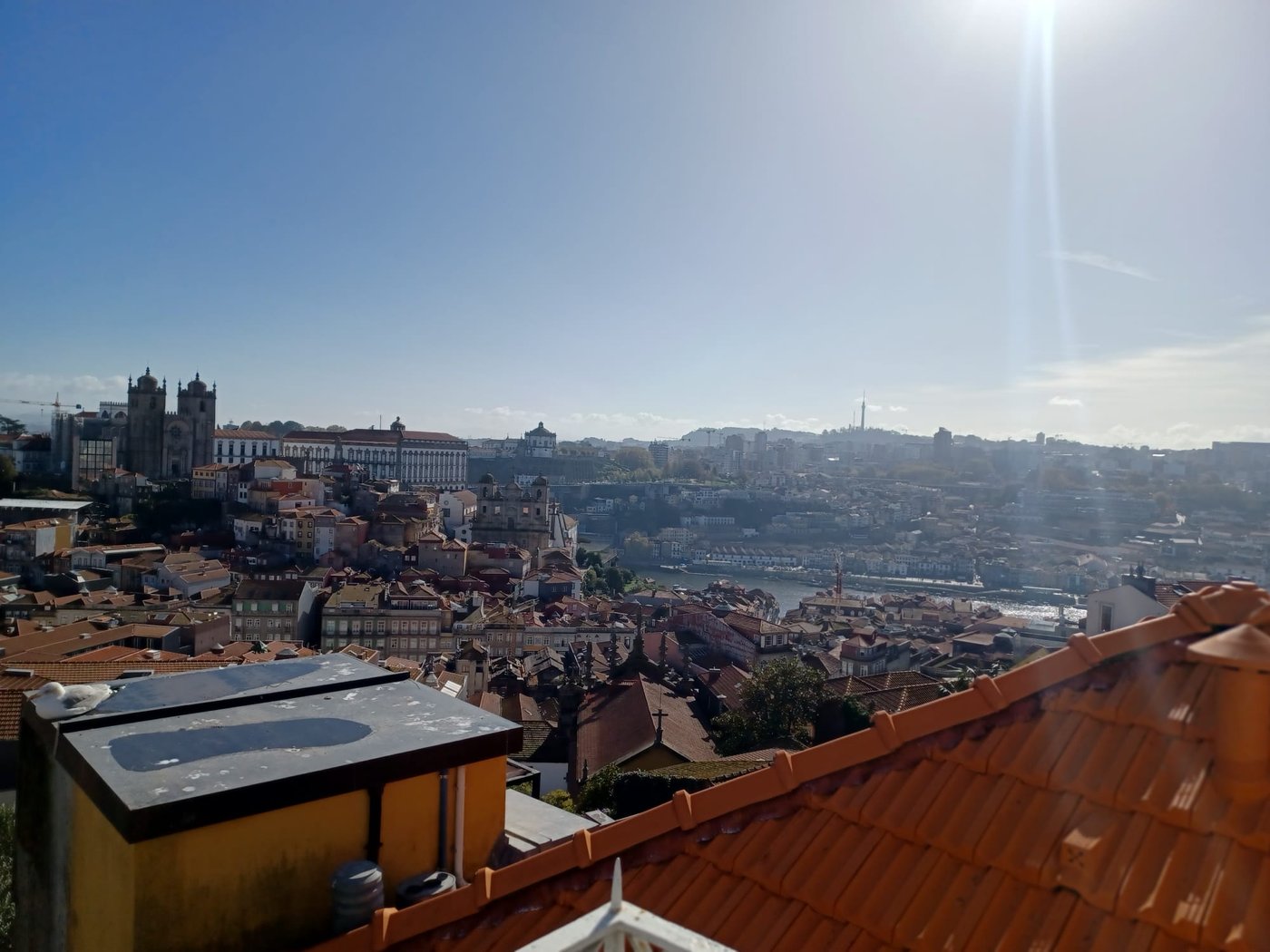 View over the Cathedral and the Douro river, with the river clearly visible in the distance among the rooftops of the historic centre